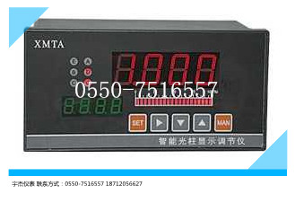 XMTA智能數(shù)字(光柱/PID)顯示調節(jié)儀